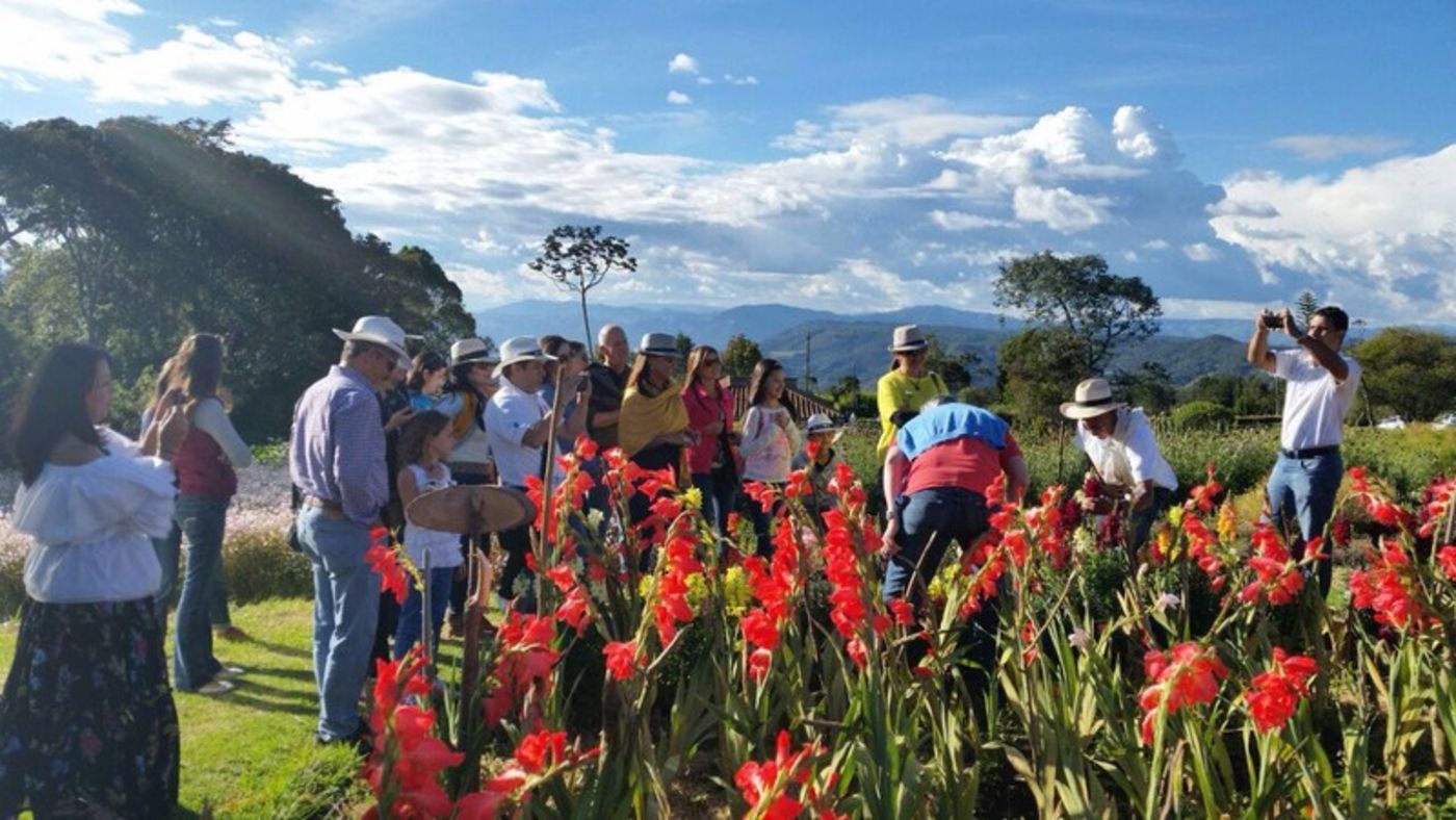 Finca silletera y cultivo de flores en Santa Elena, Medellín